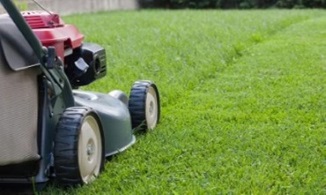 Lawn Maintenance service