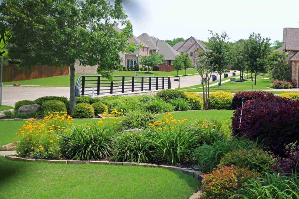 A suburban neighborhood with manicured lawns, colorful flower beds, trimmed bushes, and trees—thanks to expert landscape services—features houses lining a quiet street under a clear sky. A suburban neighborhood with manicured lawns, colorful flower beds, trimmed bushes, and trees—thanks to expert landscape services—features houses lining a quiet street under a clear sky.