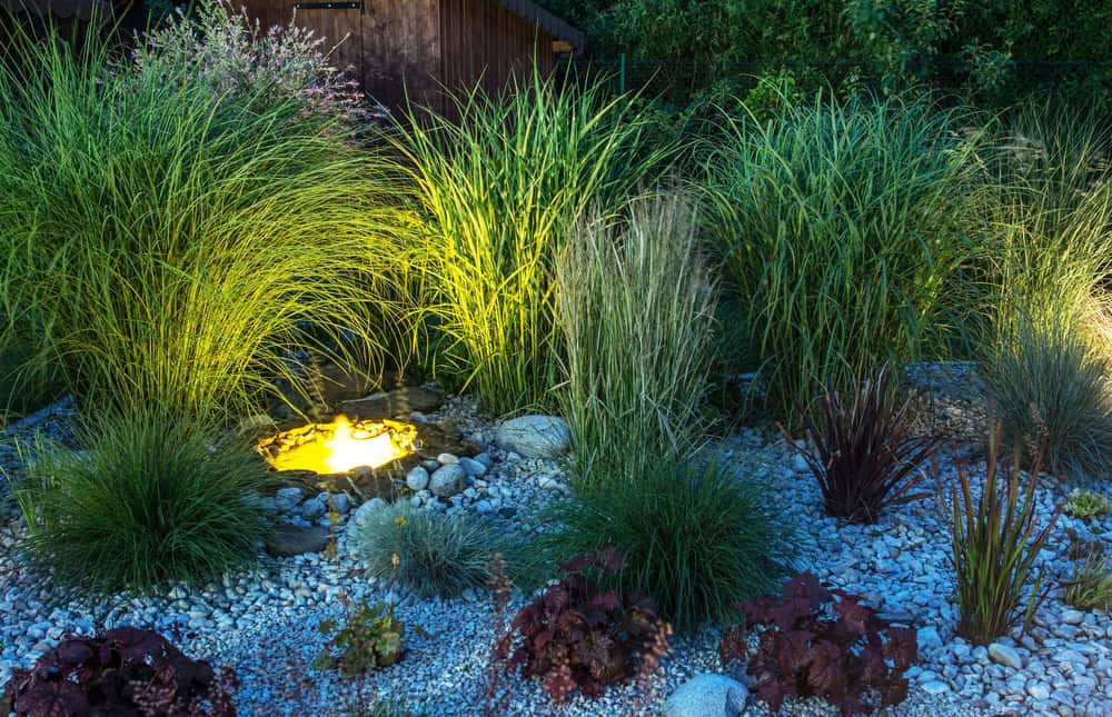A small illuminated pond surrounded by ornamental grasses, rocks, and various plants in a landscaped garden at dusk, enhanced with subtle accent lighting Tarrant County for a serene ambiance. A small illuminated pond surrounded by ornamental grasses, rocks, and various plants in a landscaped garden at dusk, enhanced with subtle accent lighting Tarrant County for a serene ambiance.