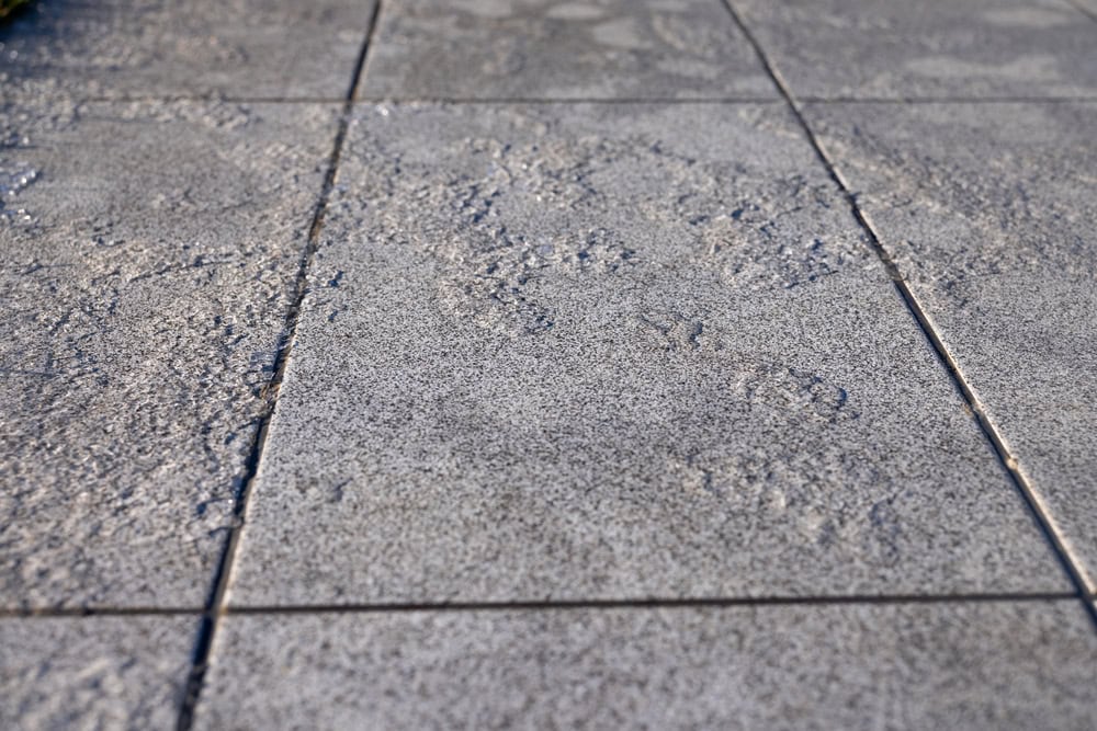 Close-up view of several textured concrete pavement tiles with visible seams and uneven surface patterns, highlighting the importance of paver protection during harsh freeze-thaw cycles.