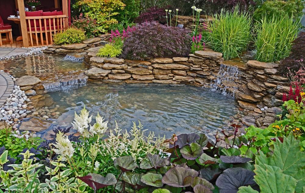 A landscaped garden pond with clear water, stone edging, small waterfalls, lush Water Feature Plants, and a wooden patio with red cushions in the background—perfect for enjoying Spring in North Texas.